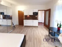 Pronájem bytu 1+kk, Praha - Braník, Za mlýnem, 24 m2