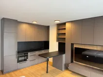 Pronájem bytu 1+kk, Brno, Bratislavská, 38 m2