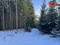 Prodej lesa, Horní Radechová - Slavíkov, 51351 m2