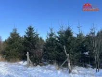 Prodej lesa, Horní Radechová - Slavíkov, 51351 m2