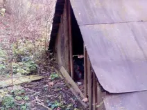 Dražba - jiné, Brumov-Bylnice, 29 m2