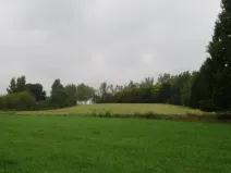 Dražba pole, Týn nad Vltavou, 26214 m2