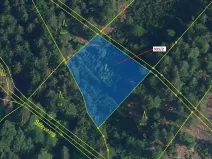 Dražba lesa, Jílové u Držkova, 1684 m2