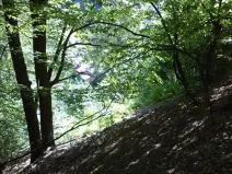 Dražba pozemku pro bydlení, Stará Paka, 1210 m2