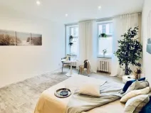 Pronájem bytu 1+1, Brno, Antonínská, 38 m2