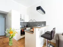 Prodej bytu 2+kk, Praha - Vinohrady, Máchova, 45 m2