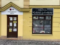 Pronájem obchodního prostoru, Nový Jičín, Gen. Hlaďo, 49 m2