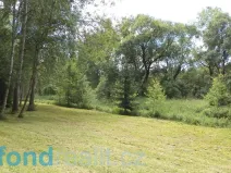 Prodej pozemku, Sobíňov, 3617 m2