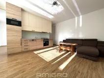 Pronájem bytu 1+kk, Brno, Podlesí, 39 m2