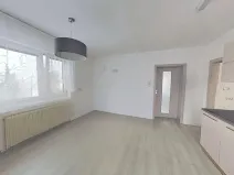 Pronájem bytu 3+kk, Vícenice u Náměště nad Oslavou, 90 m2