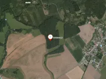 Prodej lesa, Roštění, 947 m2