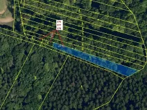 Dražba lesa, Hradčany-Kobeřice, 1703 m2