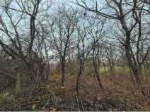 Dražba komerčního pozemku, Radějov, 3231 m2