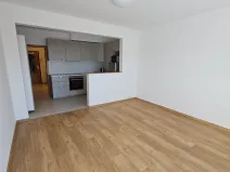 Pronájem bytu 1+kk, Chýně, U Dráhy, 39 m2