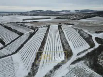 Prodej pozemku, Sedlec, 6224 m2