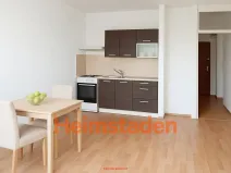 Pronájem bytu 1+kk, Ostrava - Moravská Ostrava, Gen. Píky, 26 m2
