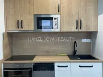 Pronájem bytu 1+kk, České Budějovice, Dobrovodská, 32 m2