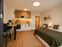 Pronájem bytu 1+kk, České Budějovice - České Budějovice 5, Dobrovodská, 36 m2