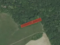 Prodej louky, Nesvačily, 9239 m2