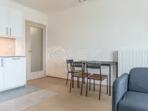 Pronájem bytu 2+kk, Praha - Žižkov, Olgy Havlové, 51 m2