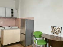 Pronájem bytu 1+kk, Praha - Nusle, Družstevní, 52 m2
