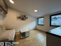 Pronájem bytu 1+kk, Brno, Ondráčkova, 19 m2