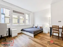 Pronájem bytu 1+kk, Brno - Trnitá, Špitálka, 30 m2