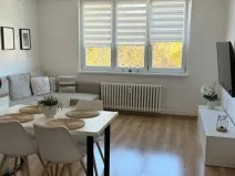 Pronájem bytu 3+kk, Opava - Předměstí, Skřivánčí, 70 m2