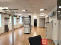 Prodej rodinného domu, Znojmo, Velká Michalská, 326 m2
