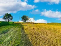 Prodej pozemku pro bydlení, Puclice, 3058 m2