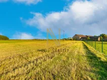 Prodej pozemku pro bydlení, Puclice, 3058 m2