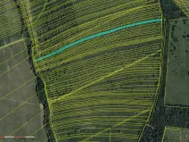 Prodej pole, Velká nad Veličkou, 4896 m2