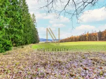 Prodej lesa, Chudenice, 7475 m2