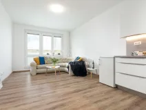 Prodej bytu 1+kk, Ostrava, Hornopolní, 29 m2