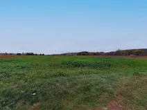 Prodej pozemku pro bydlení, Zruč nad Sázavou, 3495 m2