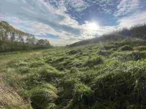 Prodej pole, Svijany, 1263 m2