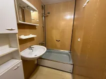 Prodej bytu 2+kk, České Budějovice, K. Štěcha, 48 m2