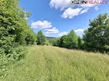 Prodej rodinného domu, Žítková, 80 m2