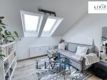 Pronájem bytu 1+kk, Olomouc, tř. Svornosti, 45 m2