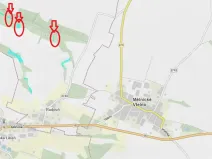 Prodej lesa, Mělnické Vtelno, 4059 m2