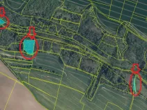 Prodej lesa, Mělnické Vtelno, 4059 m2