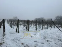 Prodej pozemku, Valtice - Úvaly, 1266 m2