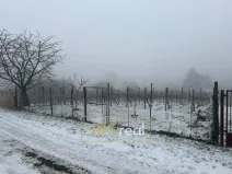 Prodej pozemku, Valtice - Úvaly, 1266 m2