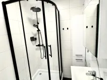 Pronájem bytu 3+1, Karviná, Divišova, 57 m2