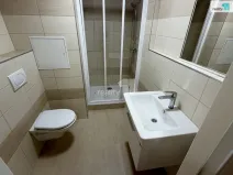 Pronájem bytu 1+kk, Plzeň - Severní Předměstí, Hodonínská, 31 m2