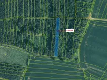 Dražba lesa, Hosty, 1685 m2