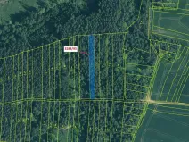 Dražba lesa, Hosty, 1735 m2