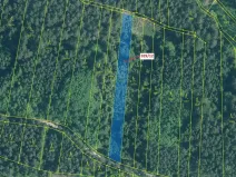 Dražba lesa, Hosty, 1517 m2