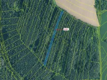 Dražba lesa, Hosty, 1789 m2