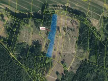 Dražba lesa, Vilice, 3593 m2